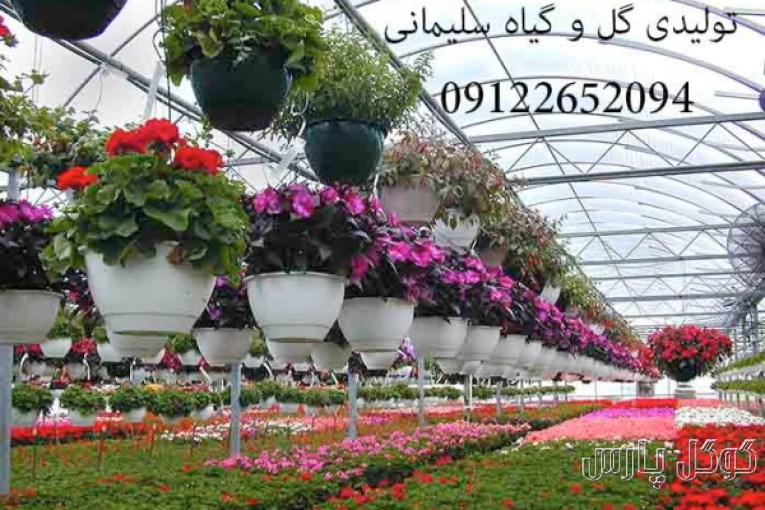 مجتمع تولیدی گل و گیاه و نهال سلیمانی 09122652094 