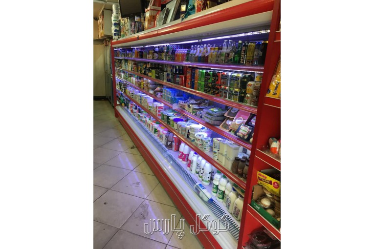 ساخت انواع یخچال فروشگاهی در تهران | شرکت الکترو شهاب 09121006815