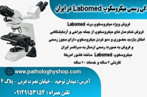 نمایندگی رسمی میکروسکوپLabomed در ایران
