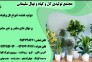 تولیدی گل و گیاه سلیمانی | تولید گل و گیاهان زینتی | تولید گل و گیاه آپارتمانی | فروش انواع گل و گیاه