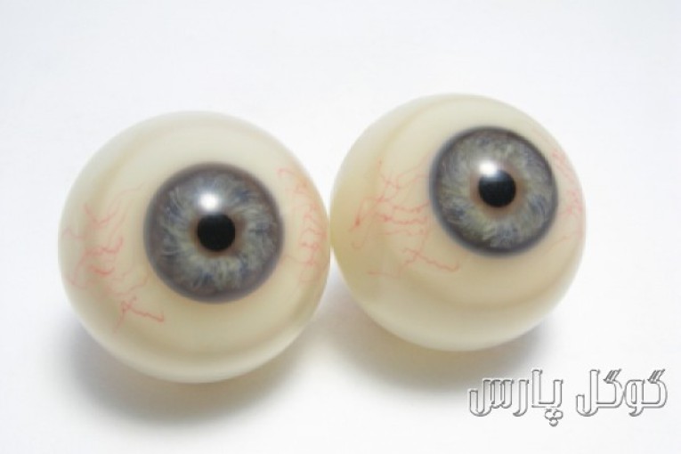 چشم و اپتومتری (معاینه چشم و موسسه عینک طبی بین المللی فهیمه مدرسی)
